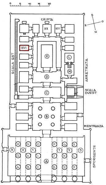 PiantaXVI006