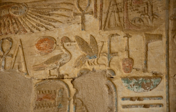 036