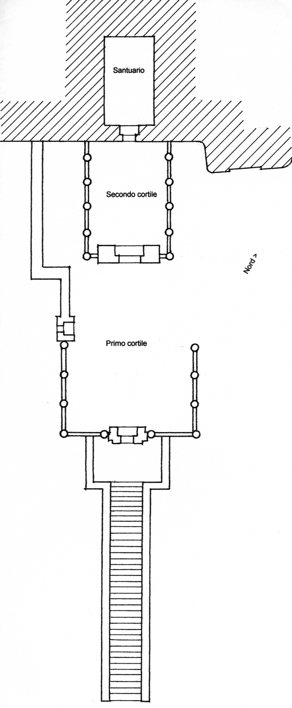 051Pianta
