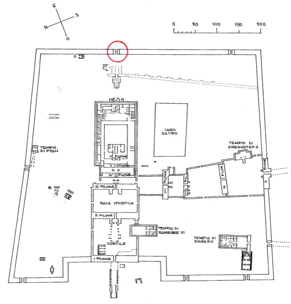 Pianta1413