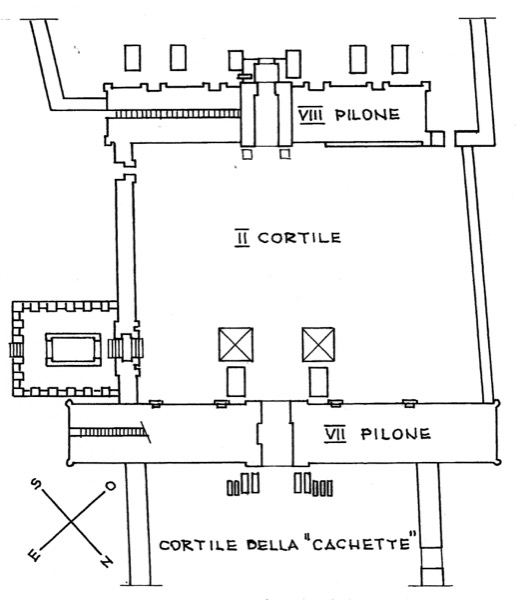 011 Pianta2