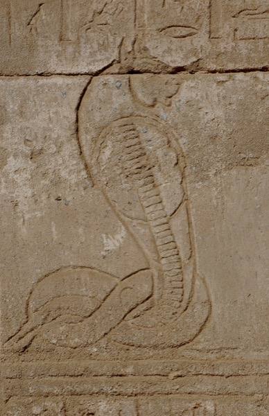 011c