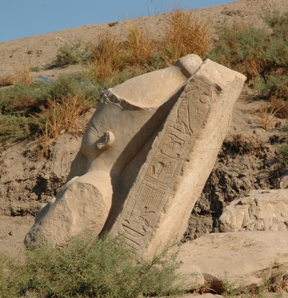 102d