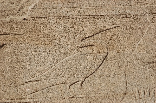 008b