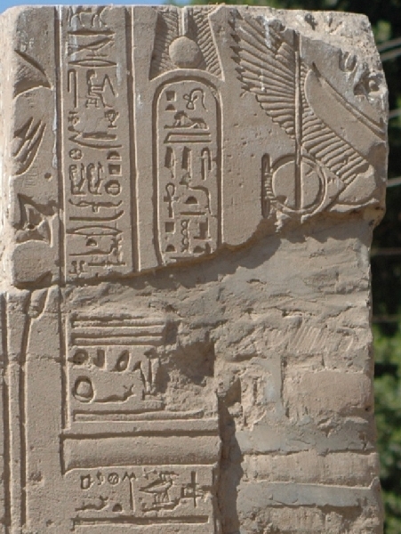 005g DSC 0004