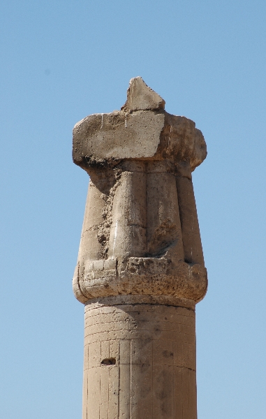 012a DSC 0015