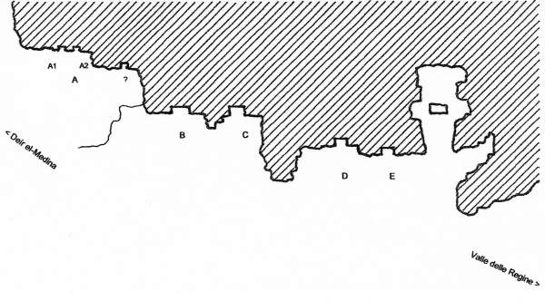 Pianta01