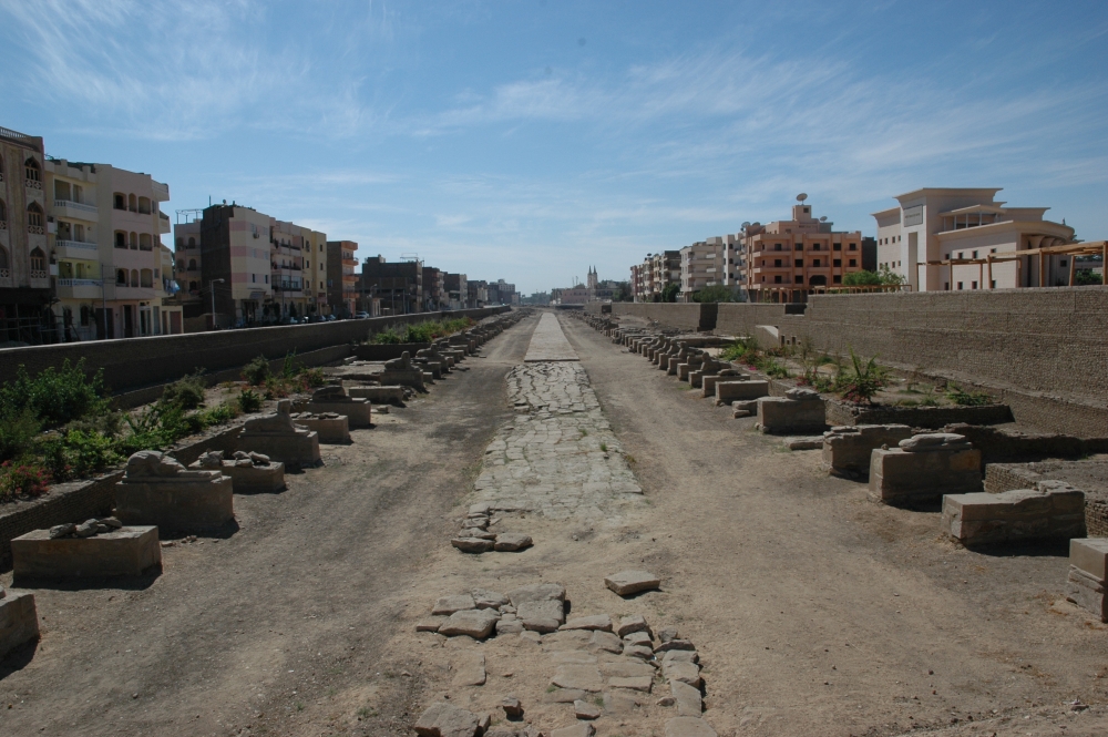 010a DSC 8651