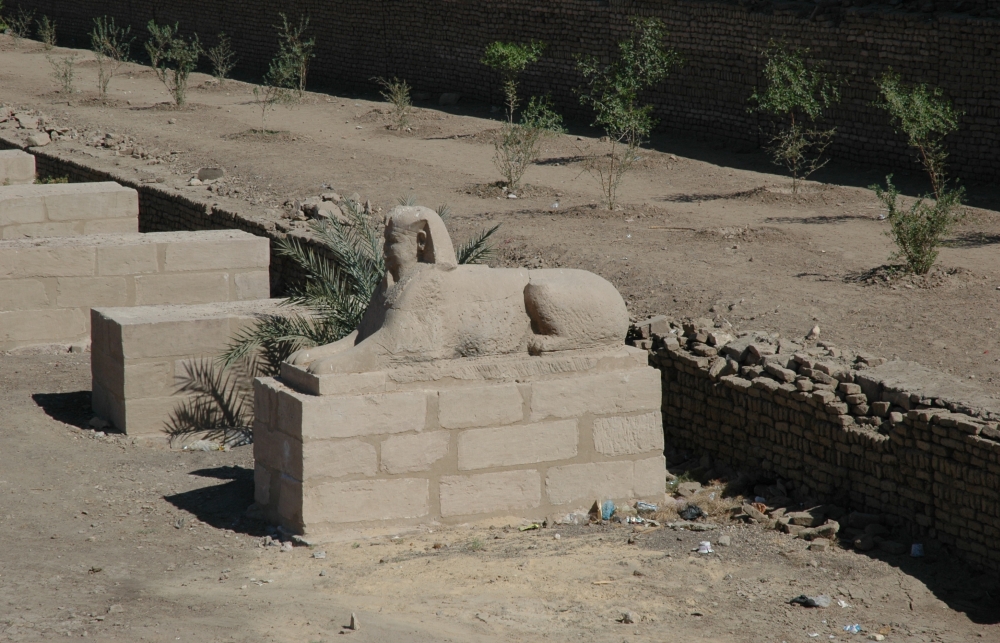 DSC 8656