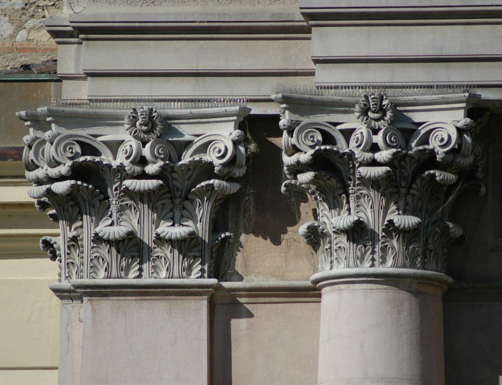 DSC 4135