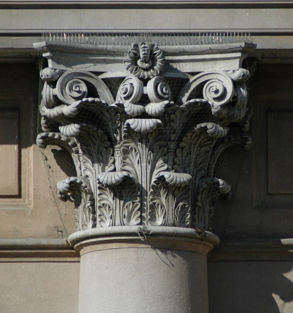 DSC 4137