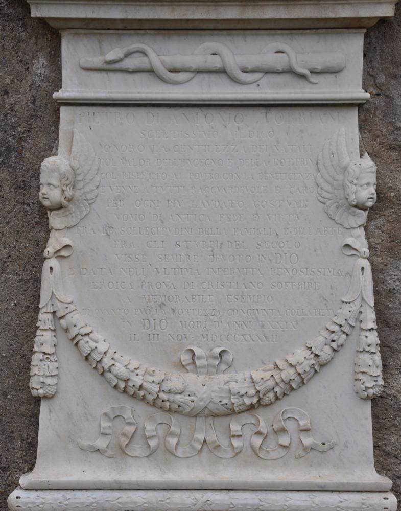 DSC 3537