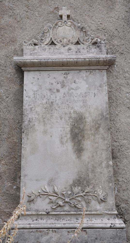 DSC 3543