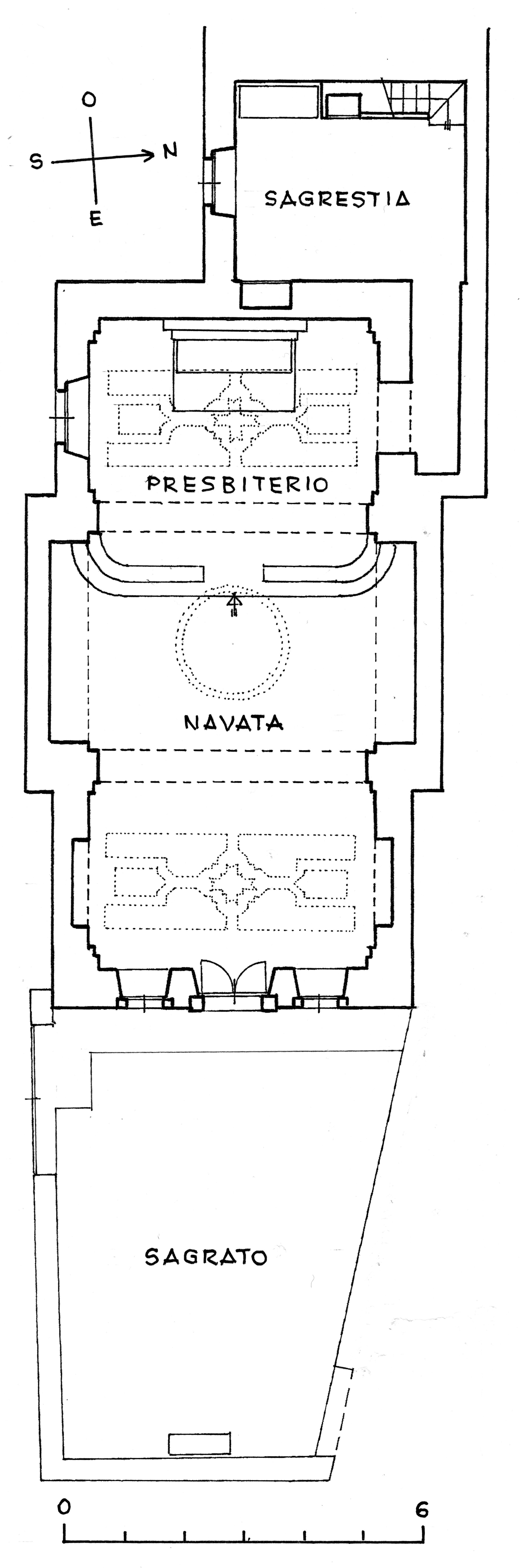 PiantaCragno
